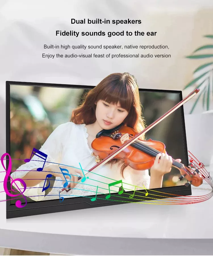 15.6 Inch100%sRGB Portable Monitor